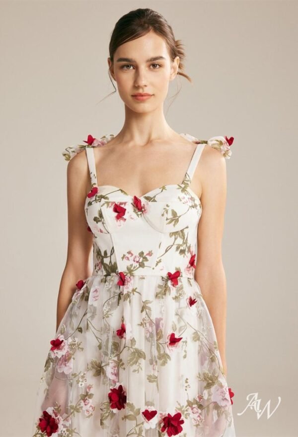 AW Cirrus Dress - Image 3