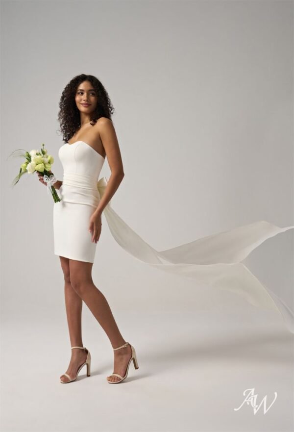 AW Shinobue Wedding Dress - Image 4