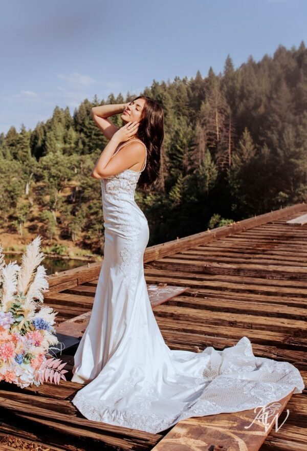 AW Anias Wedding Dress - Image 4